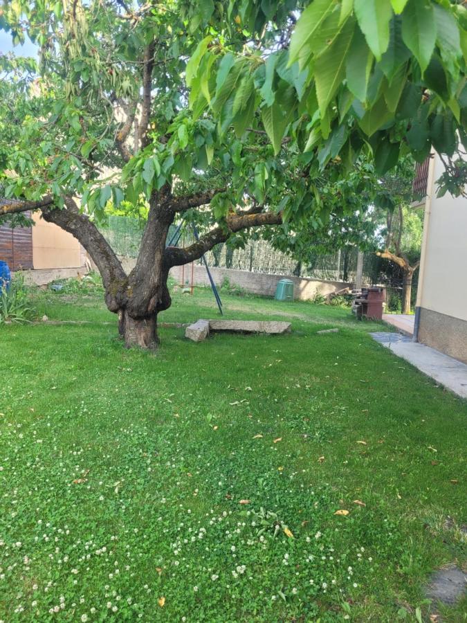 Maison De Vacances Au Coeur De La Cerdagne Angoustrine Екстер'єр фото